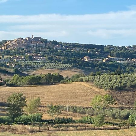 Podere Campo Alle Serpi Bibbona Exteriér fotografie