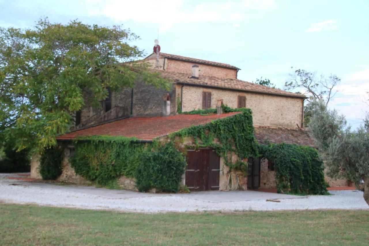 Podere Campo Alle Serpi Bibbona Exteriér fotografie