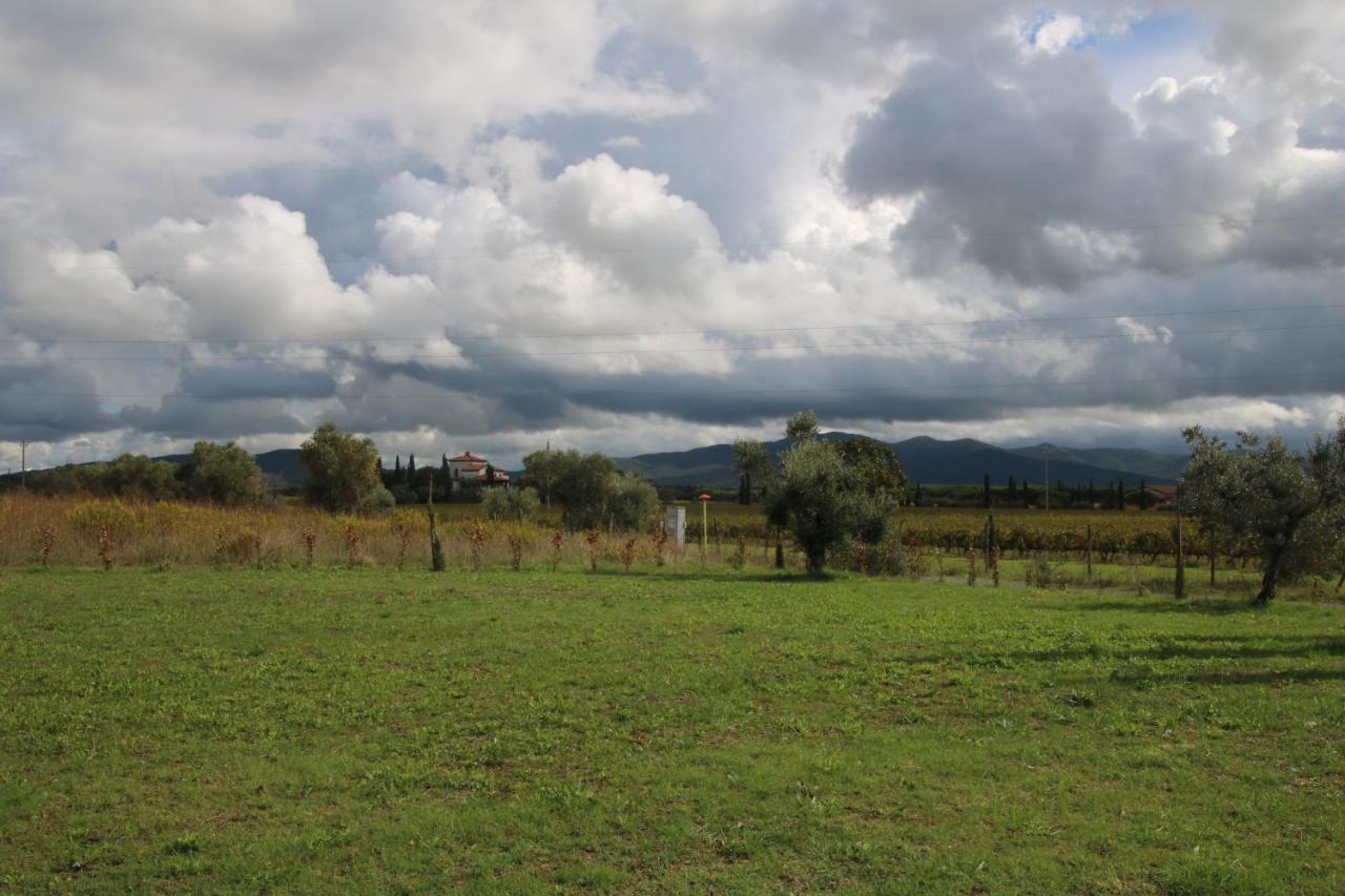 Podere Campo Alle Serpi Bibbona Exteriér fotografie