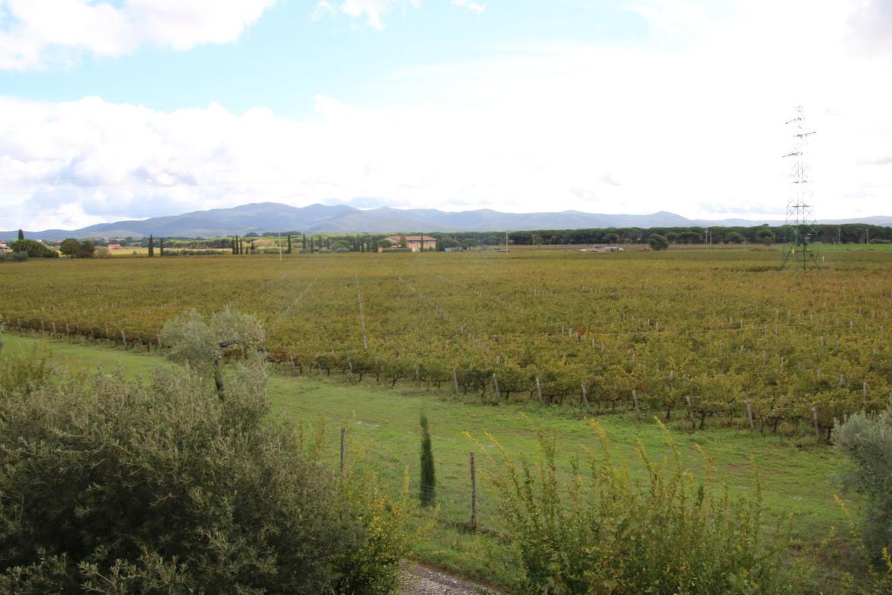Podere Campo Alle Serpi Bibbona Exteriér fotografie
