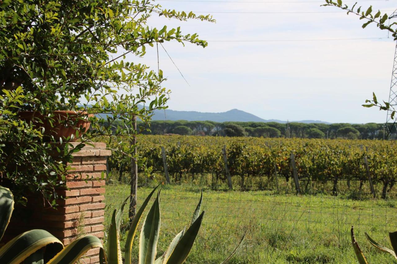Podere Campo Alle Serpi Bibbona Exteriér fotografie