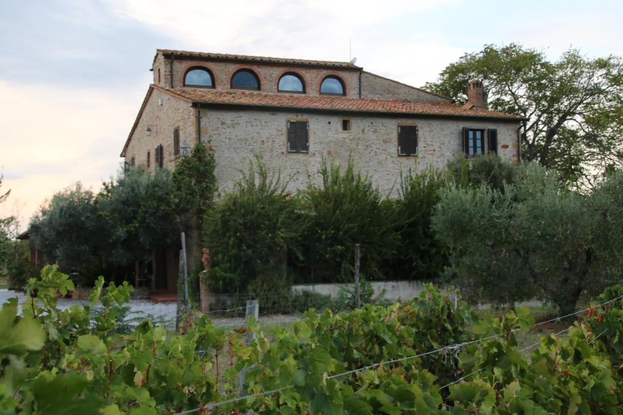 Podere Campo Alle Serpi Bibbona Exteriér fotografie