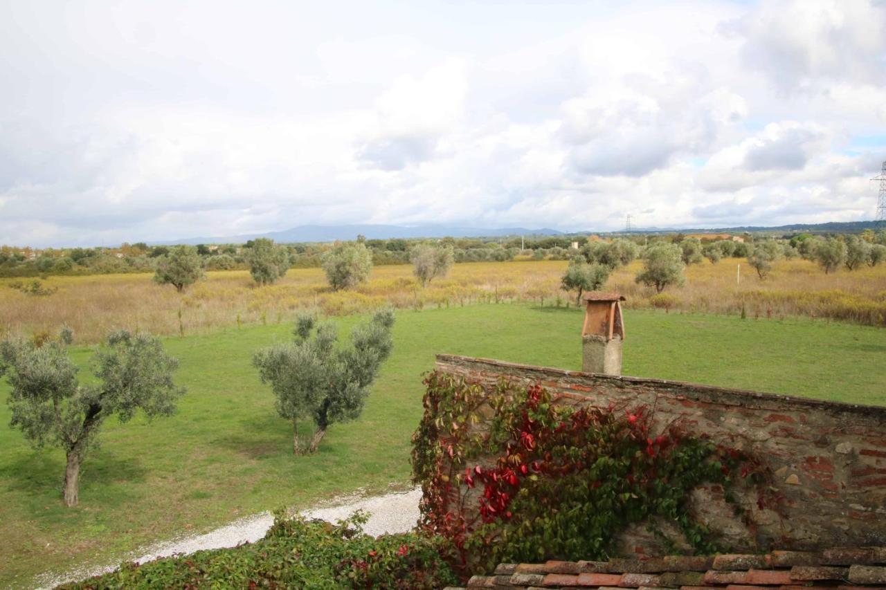 Podere Campo Alle Serpi Bibbona Exteriér fotografie