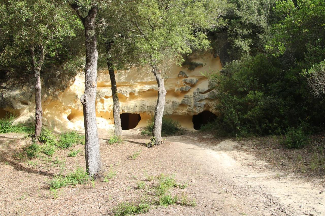 Podere Campo Alle Serpi Bibbona Exteriér fotografie