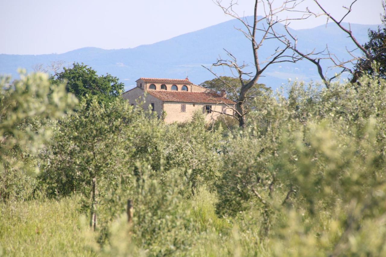 Podere Campo Alle Serpi Bibbona Exteriér fotografie