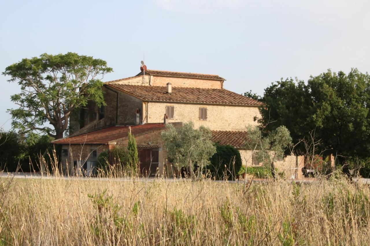 Podere Campo Alle Serpi Bibbona Exteriér fotografie