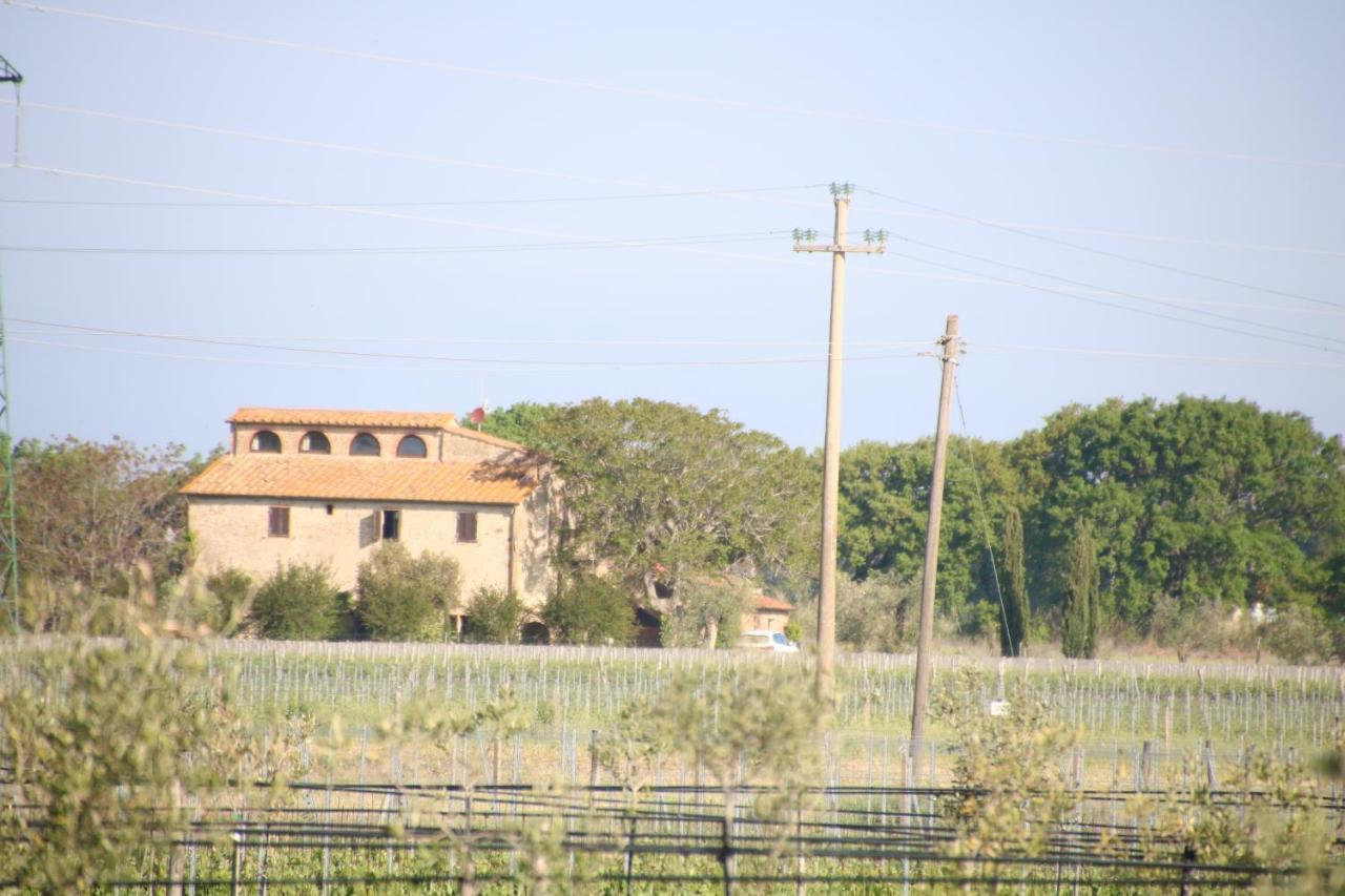Podere Campo Alle Serpi Bibbona Exteriér fotografie