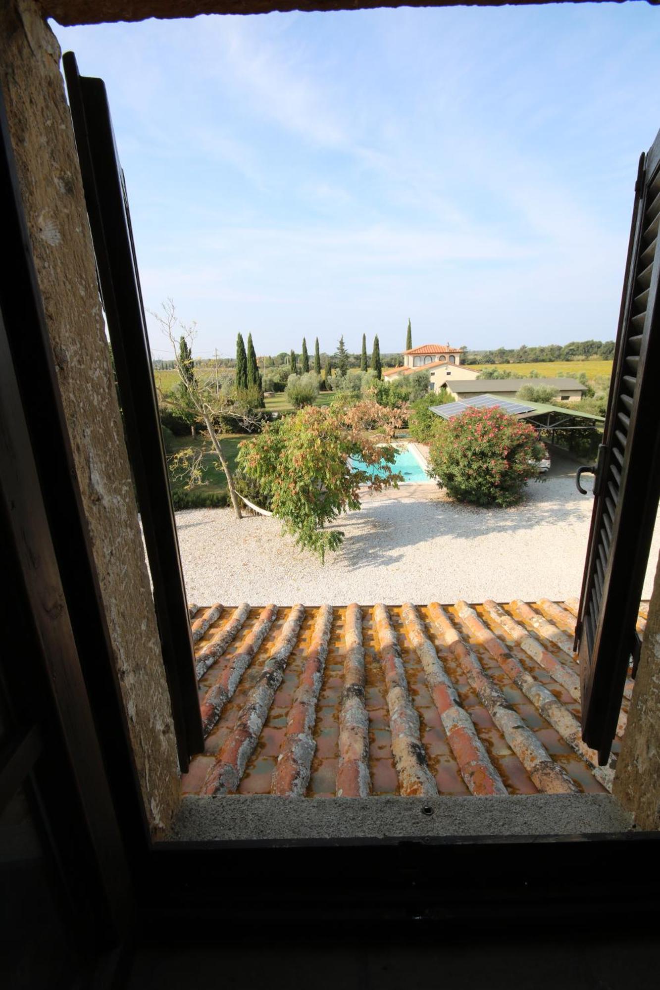 Podere Campo Alle Serpi Bibbona Exteriér fotografie