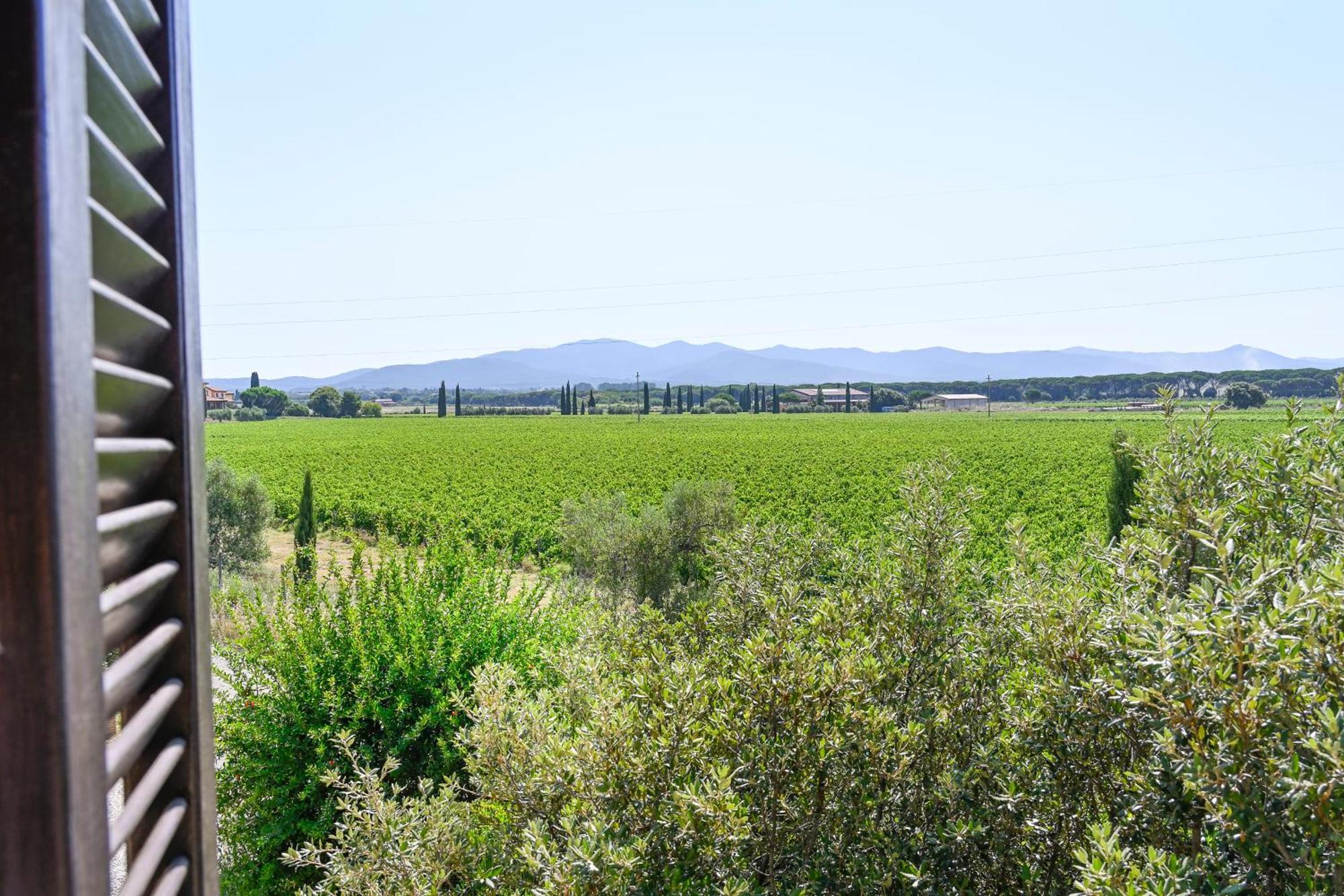 Podere Campo Alle Serpi Bibbona Pokoj fotografie