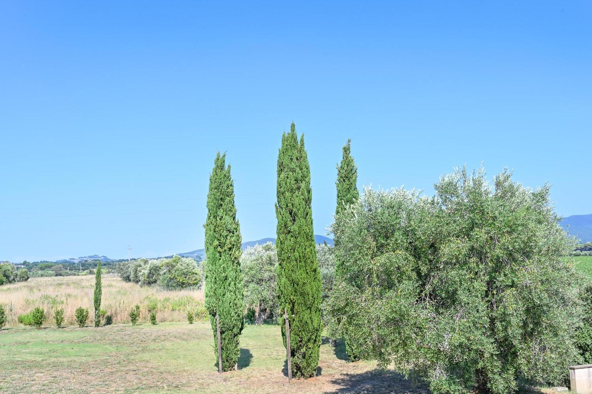 Podere Campo Alle Serpi Bibbona Pokoj fotografie