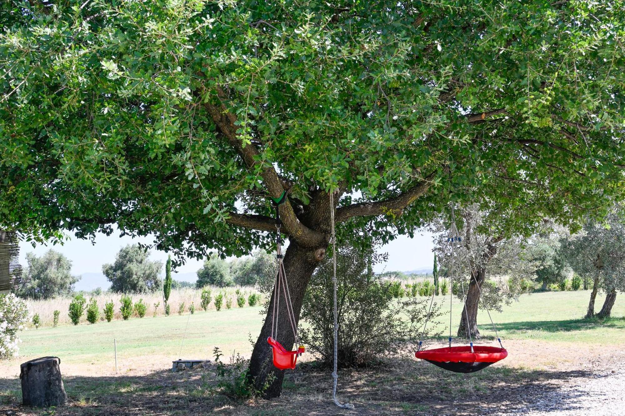 Podere Campo Alle Serpi Bibbona Exteriér fotografie